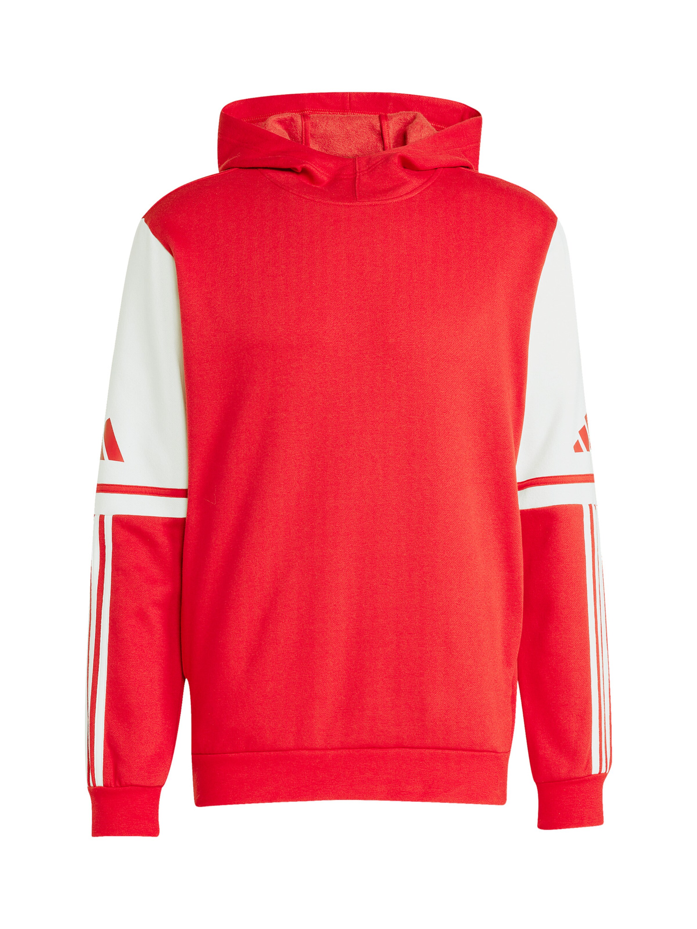 ADIDAS PERFORMANCE Sportsweatshirt 'Squadra 25' in Rot: Vorderseite