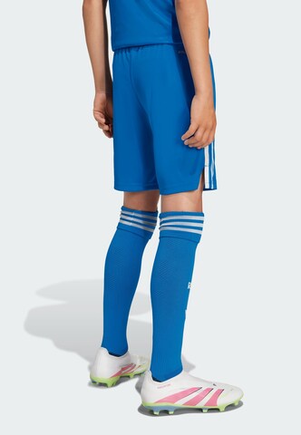 Regular Pantalon de sport 'Real Madrid 25/26' ADIDAS PERFORMANCE en bleu