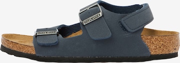 BIRKENSTOCK Avonaiset kengät 'Milano' värissä sininen: etupuoli