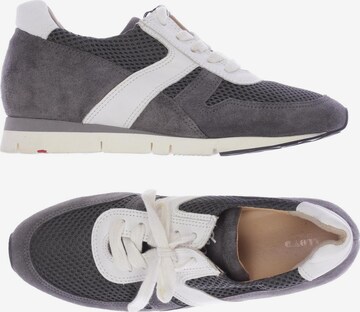 LLOYD Sneakers & Trainers in 38 in Grey: front
