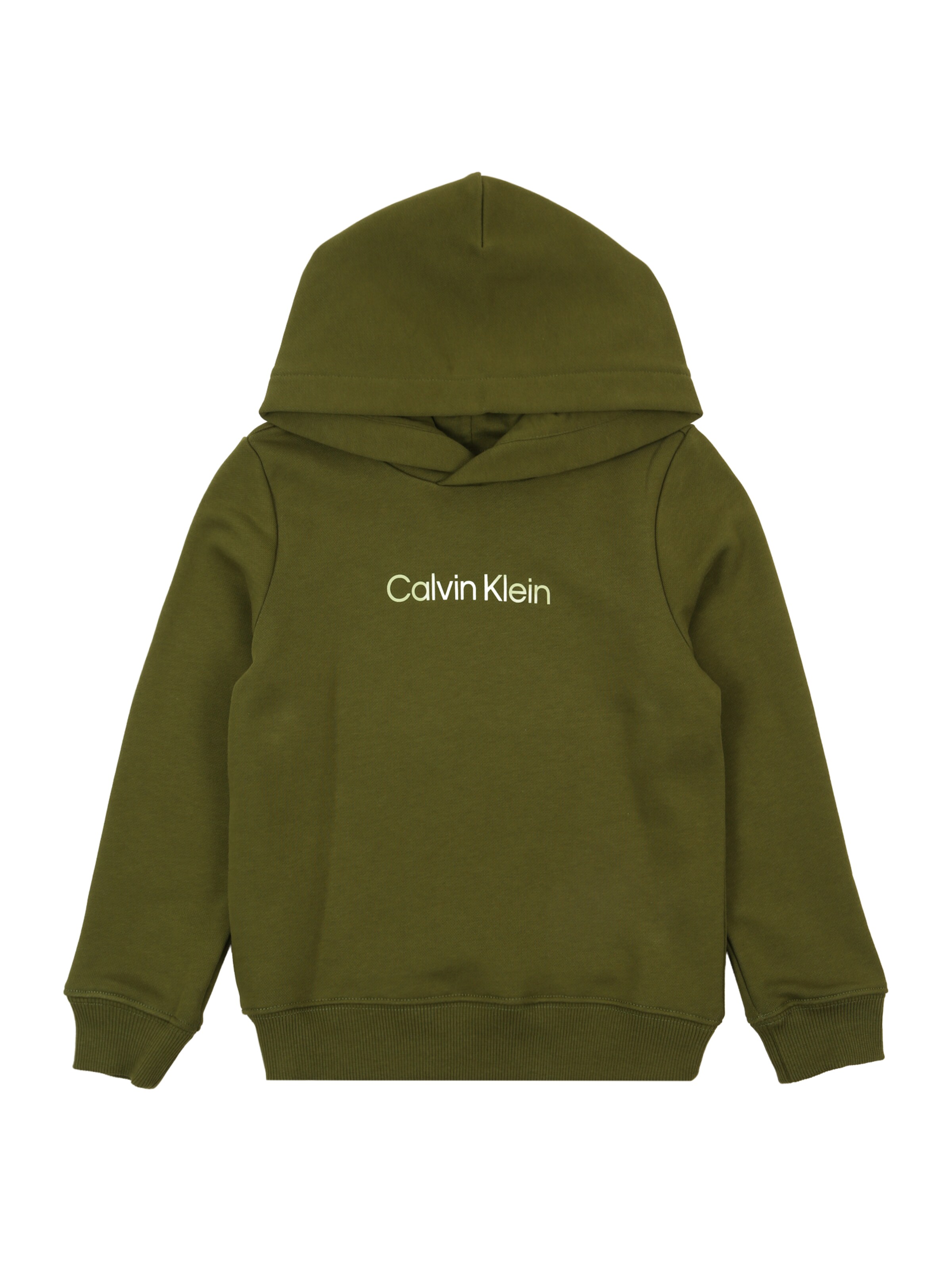 Calvin Klein Jeans Bluza w kolorze zielony: przód