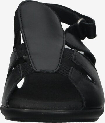 Arcopedico Sandals in Black