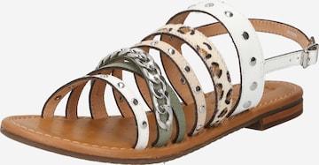 GEOX Sandalen met riem in Gemengde kleuren: voorkant