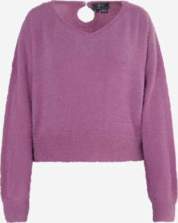 Pull-over faina en violet : devant