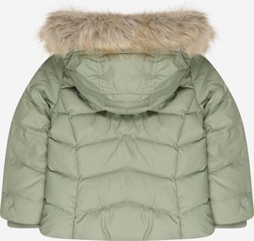 TOMMY HILFIGER Winter Jacket in Green