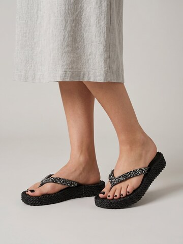 Tongs 'Cheerful08M' ILSE JACOBSEN en noir : devant