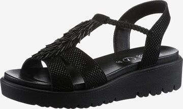 ARA Strap Sandals in Black: front