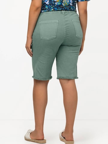 Regular Pantalon Ulla Popken en vert