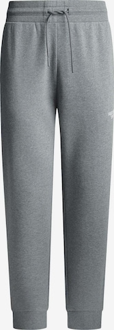 Pantalon Red Bull Racing x Pepe Jeans en gris : devant