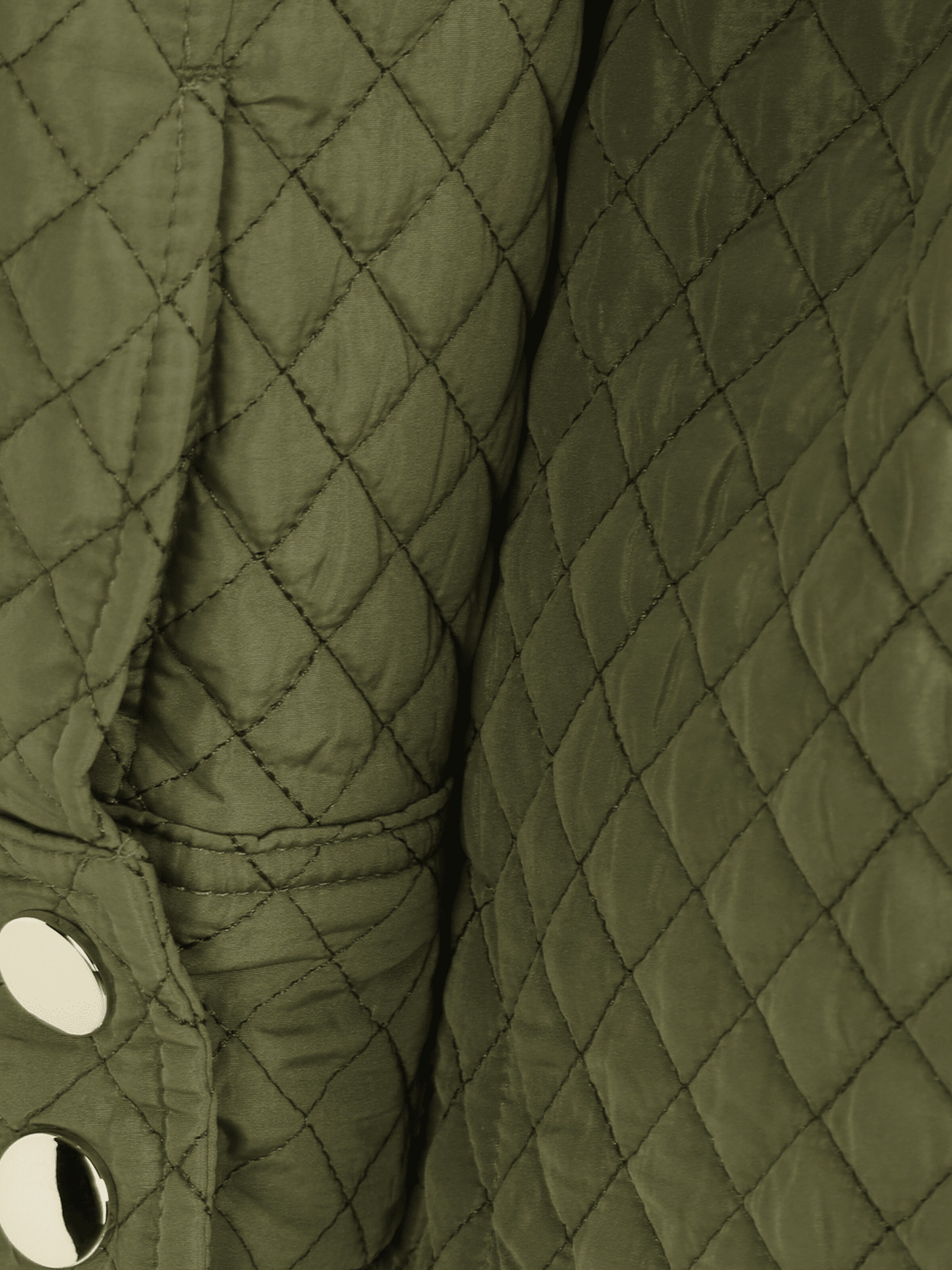 Dorothy Perkins Petite Overgangsjakke i grøn