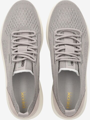 Sneaker bassa 'Spherica' di GEOX in grigio