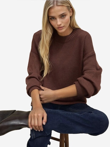Hiccup Pullover in Braun