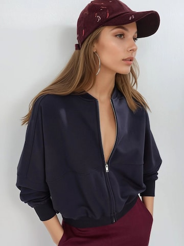 Busem Sweatjacke in Blau: Vorderseite