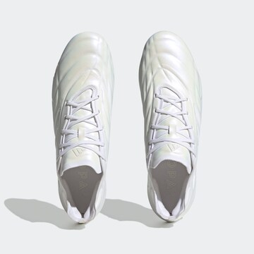 ADIDAS PERFORMANCE Παπούτσι ποδοσφαίρου 'Copa Pure.1' σε λευκό