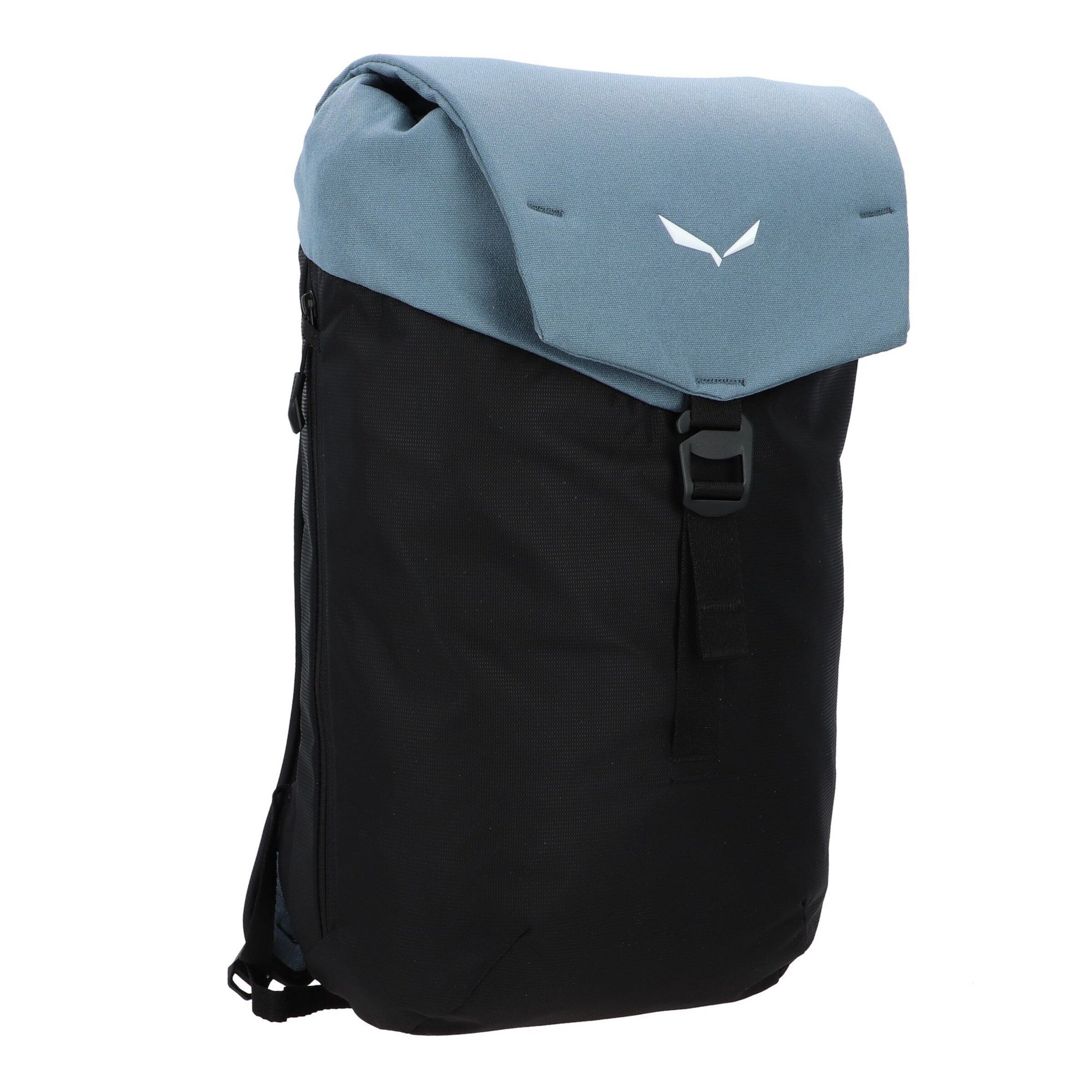 SALEWA Sports backpack 'Alpine Life Fanes' in Blue