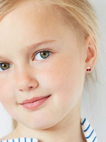 Maxte Earrings in Silver: front