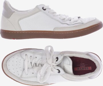 LLOYD Sneakers & Trainers in 39 in White: front