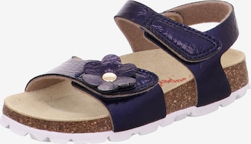 SUPERFIT Sandale in Blau: front