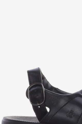 Ganter Sandals & High-Heeled Sandals in 41 in Black