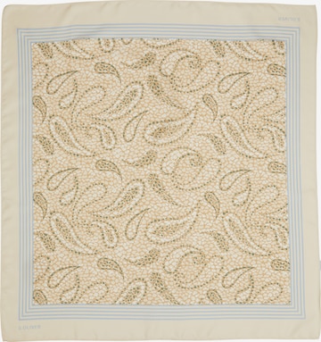 Écharpe ' ' s.Oliver en marron : devant