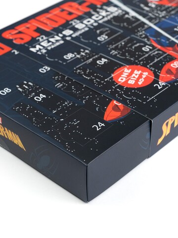 SPIDERMAN Socken 'Adventskalender mit 12 Paar'‌‌‌ in Mischfarben