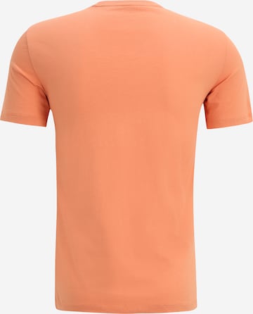 ARMANI EXCHANGE Koszulka '8NZTCJ' w kolorze pomarańczowy