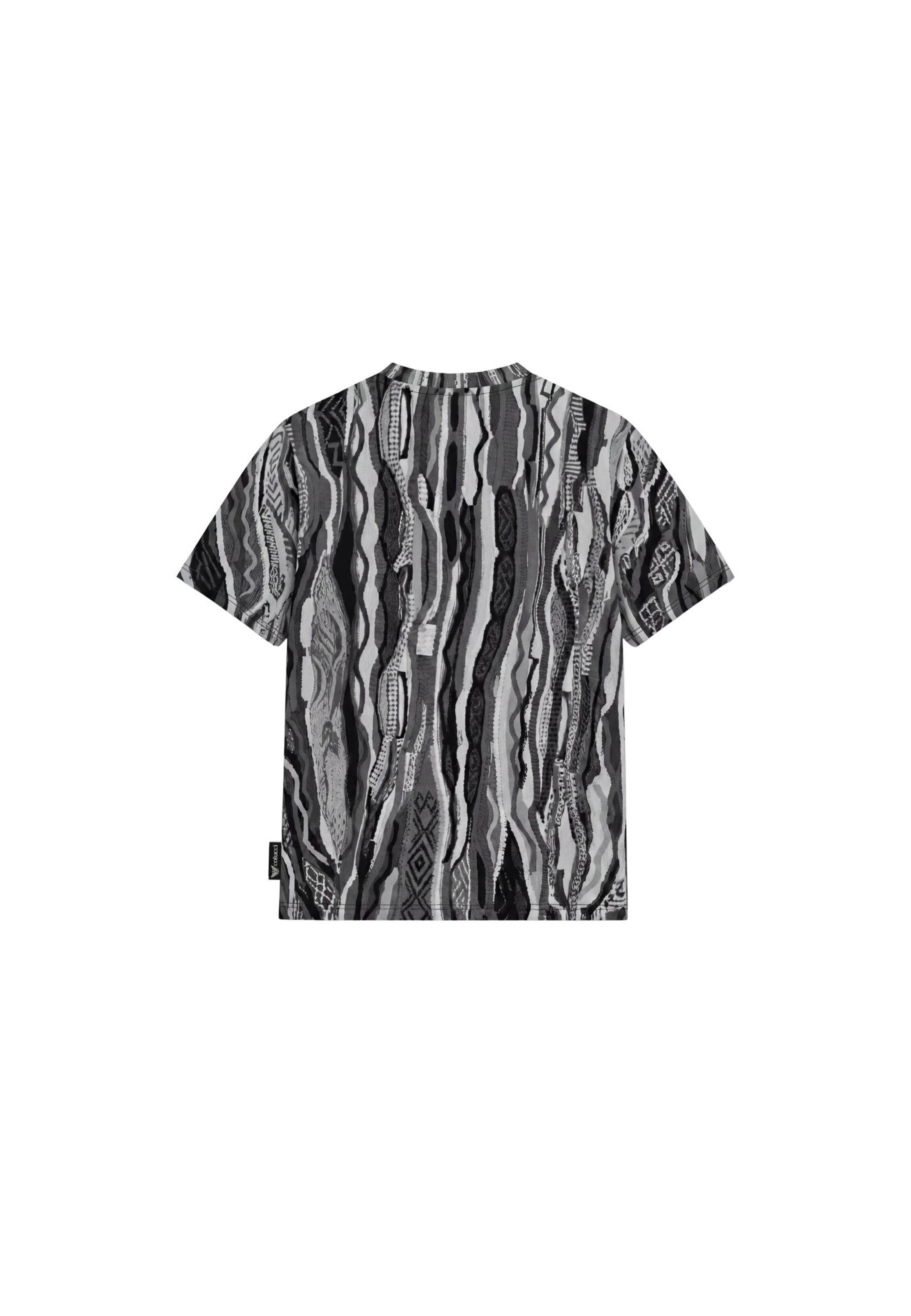 Colucci T-Shirt in Grau