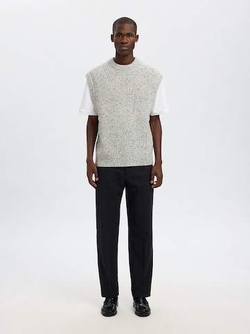 Regular Pantalon à plis 'SLH196' SELECTED en noir