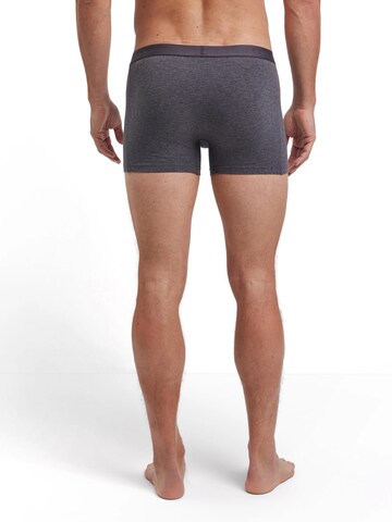 FALKE Boxer shorts '3-Pack' in Grey