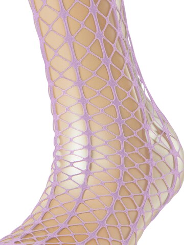 FALKE Overknee Strümpfe 'Paradise Net'‌ in Lila: Vorderseite