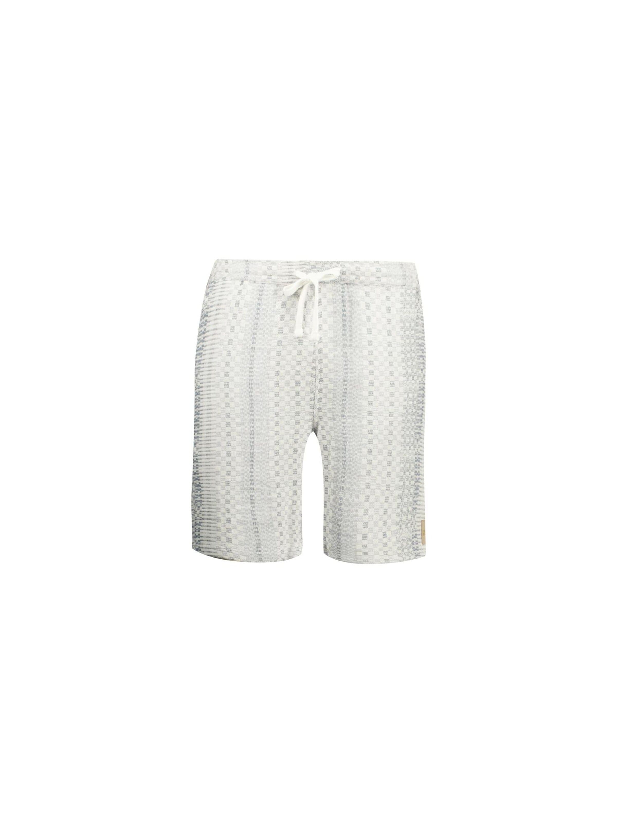 Regular Pantalon Deeluxe en gris : devant
