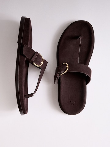 Tongs The Set en marron