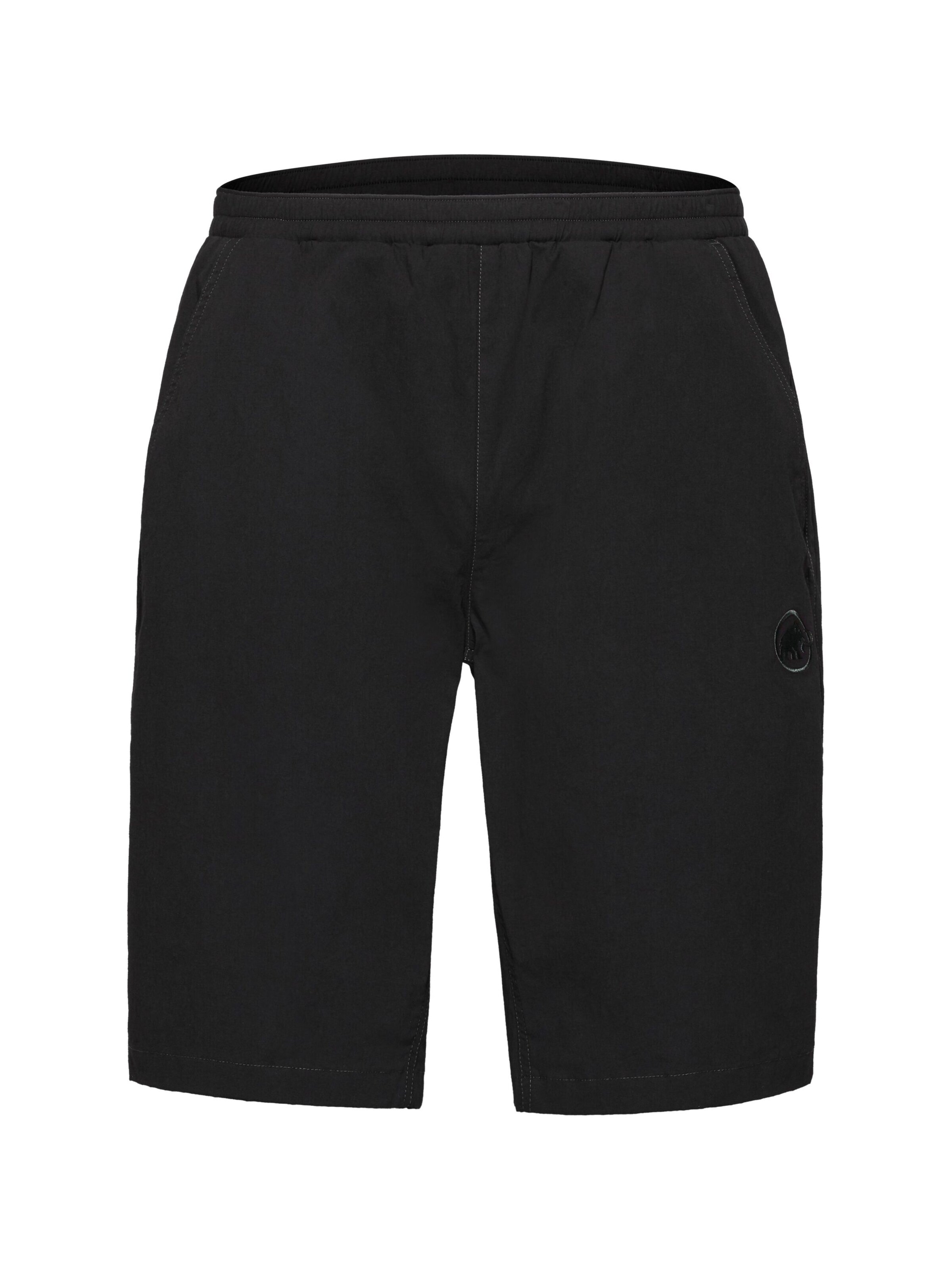 MAMMUT Regular Workout Pants in Black: front