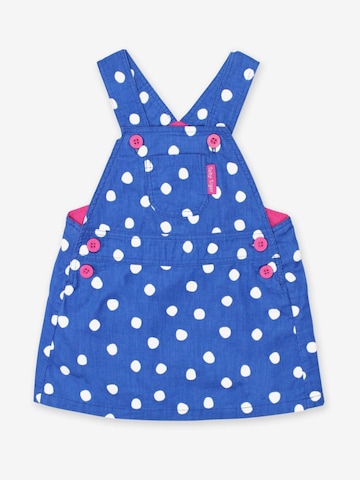 Toby Tiger Dress in Blue: front