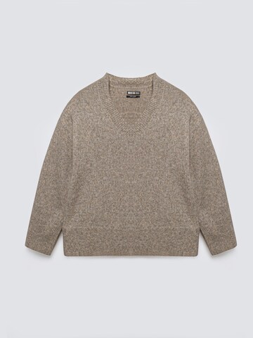Pullover ' VIOLINA ' di BIG STAR in marrone: frontale