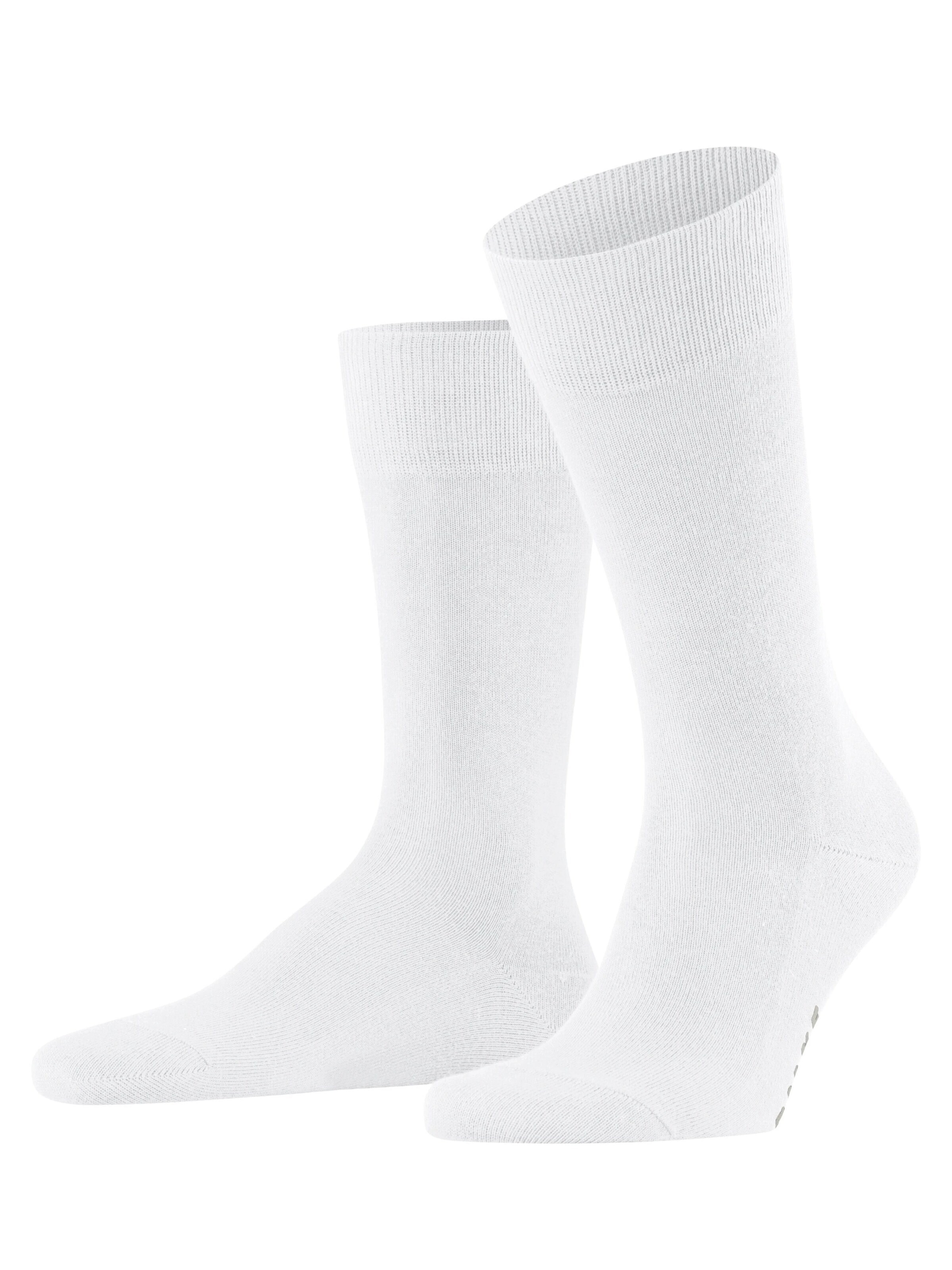 FALKE Socks 'Family' in White: front