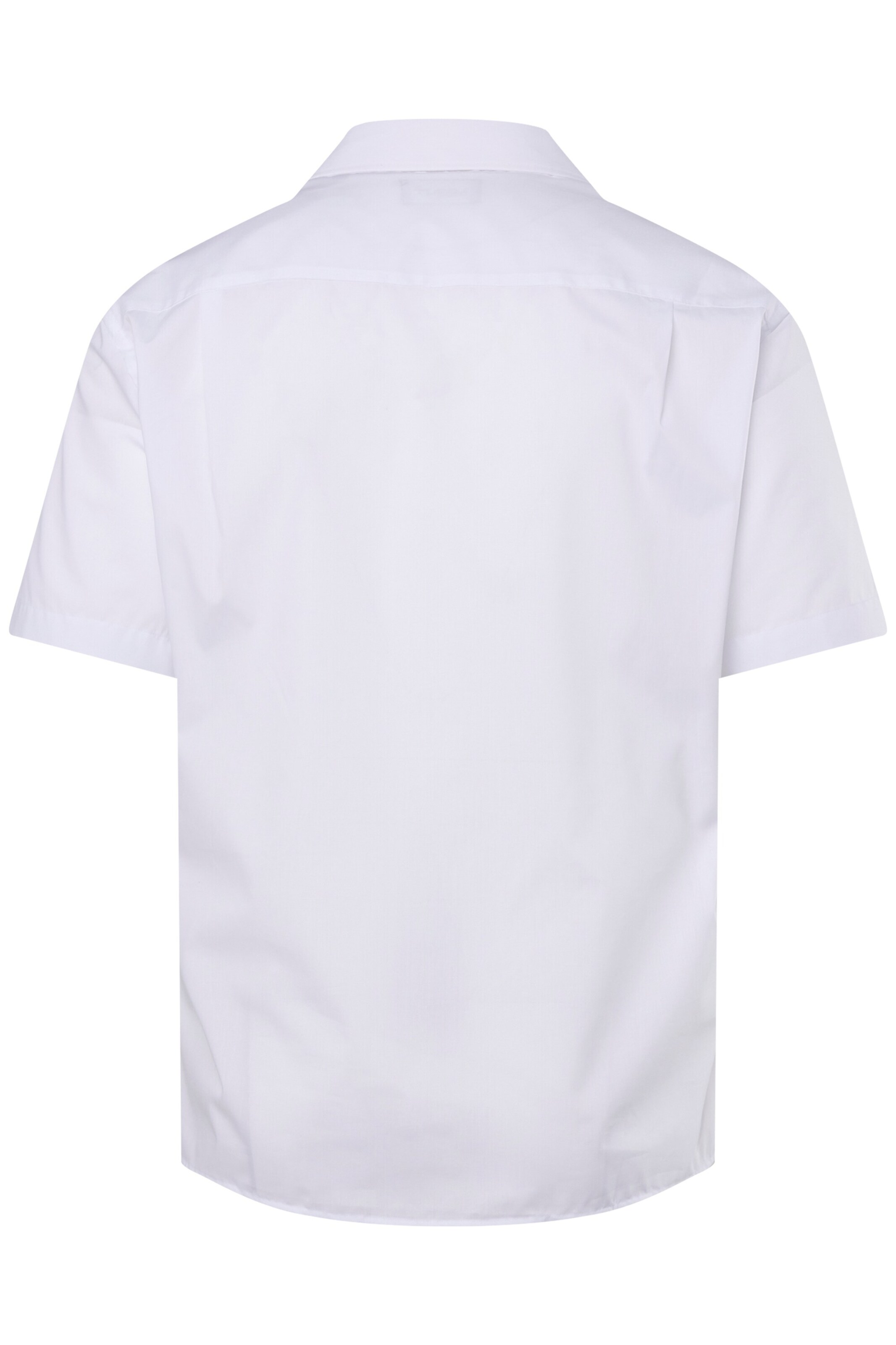 Men Plus Regular Fit Hemd in Weiß