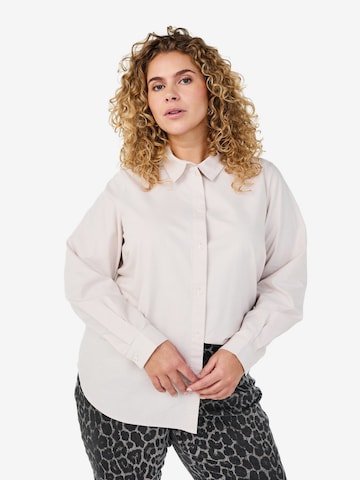 ZizziBluza 'VLULU' - siva boja: prednji dio