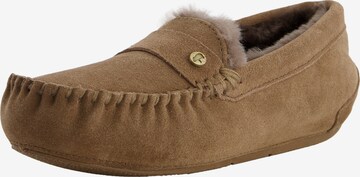 Warmbat Slippers 'Nowra' in Brown: front