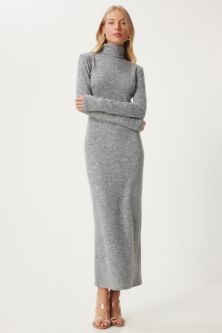 Happiness İstanbul Kleid in Grau