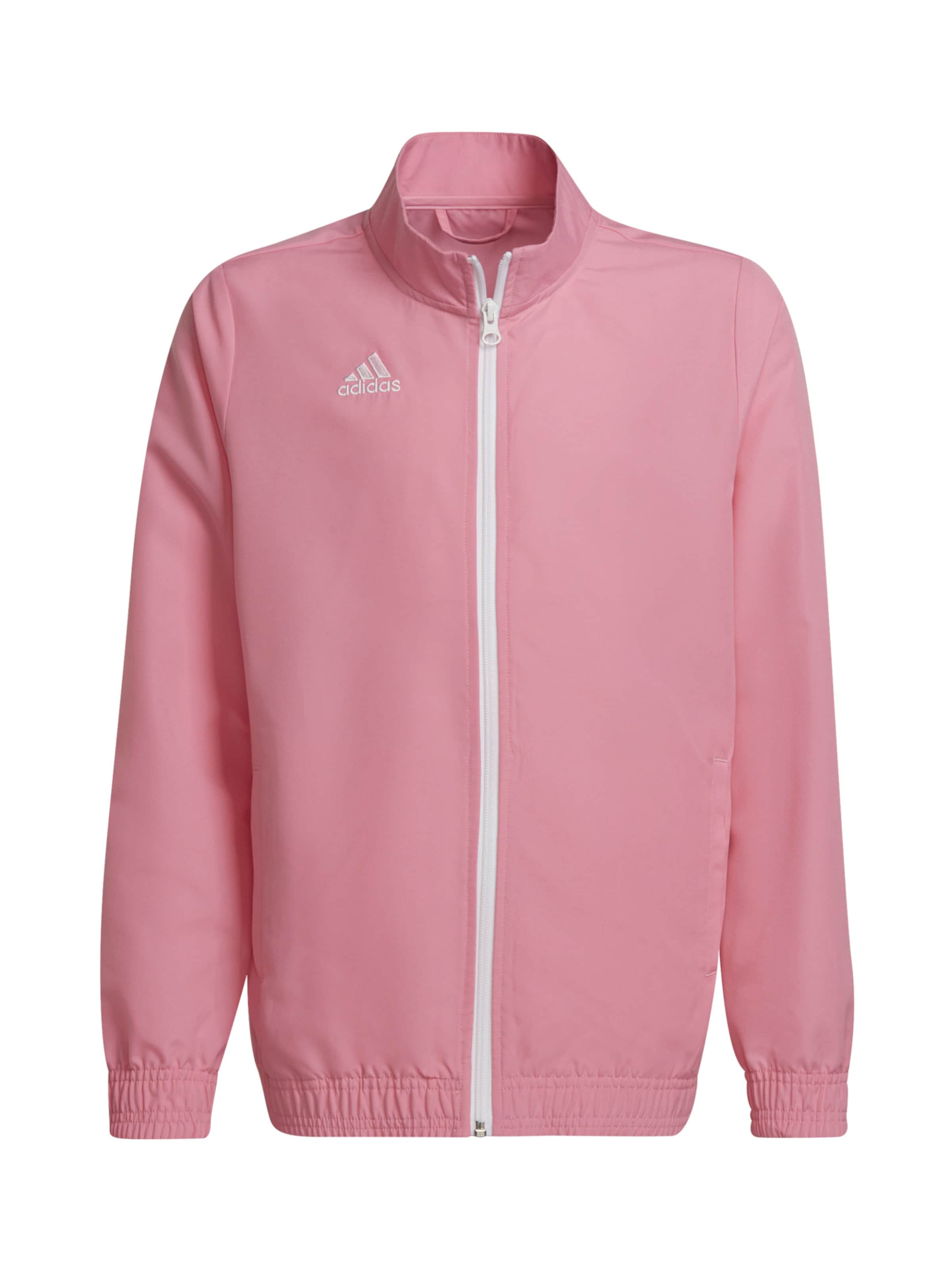 ADIDAS PERFORMANCE Athletic Jacket 'Entrada 22 Presentation' in Pink: front