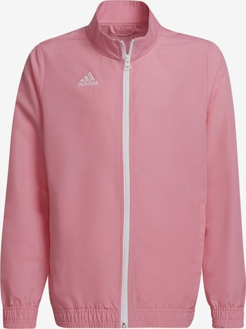 ADIDAS PERFORMANCE Athletic Jacket 'Entrada 22 Presentation' in Pink: front