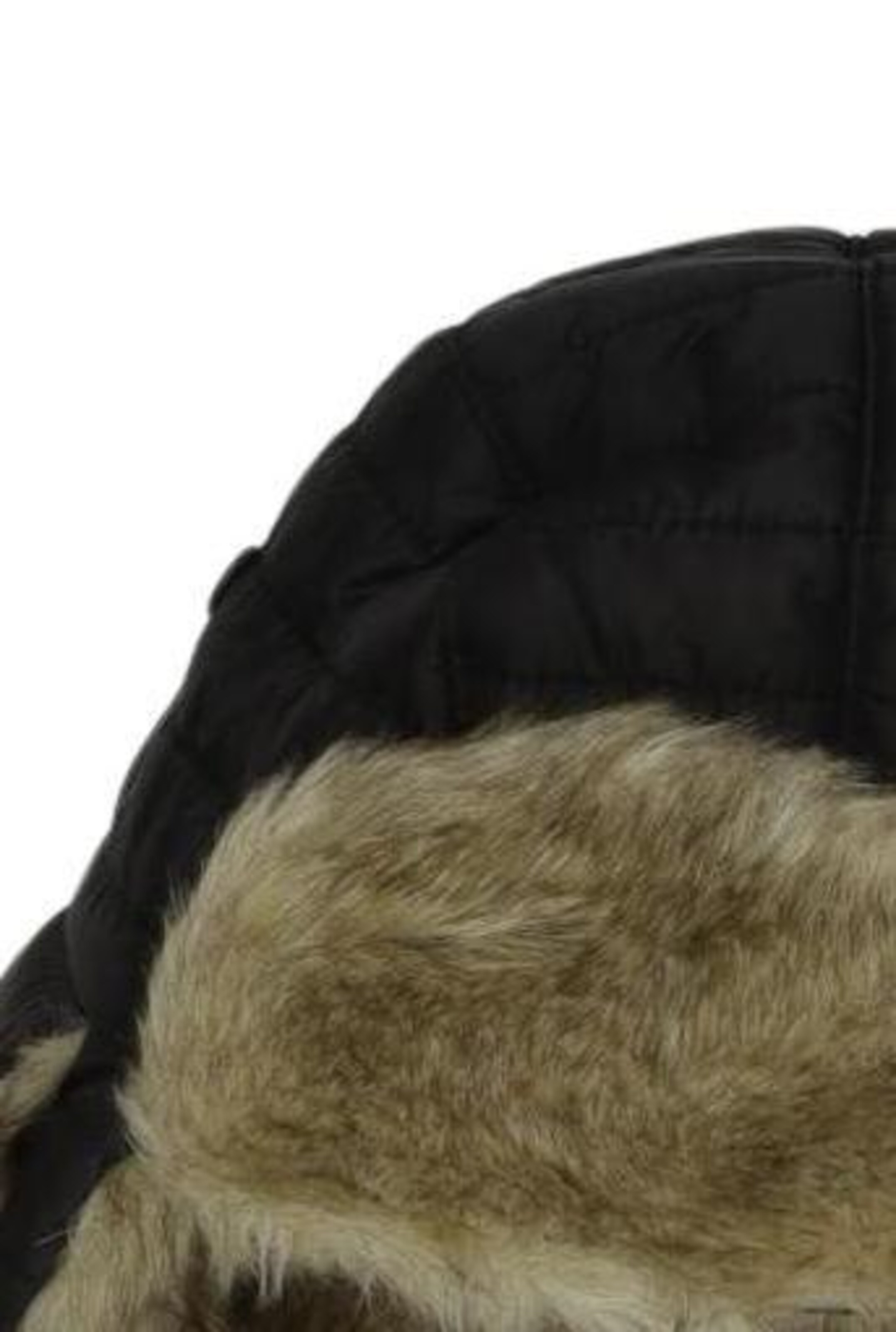 NAPAPIJRI Hat & Cap in One size in Black