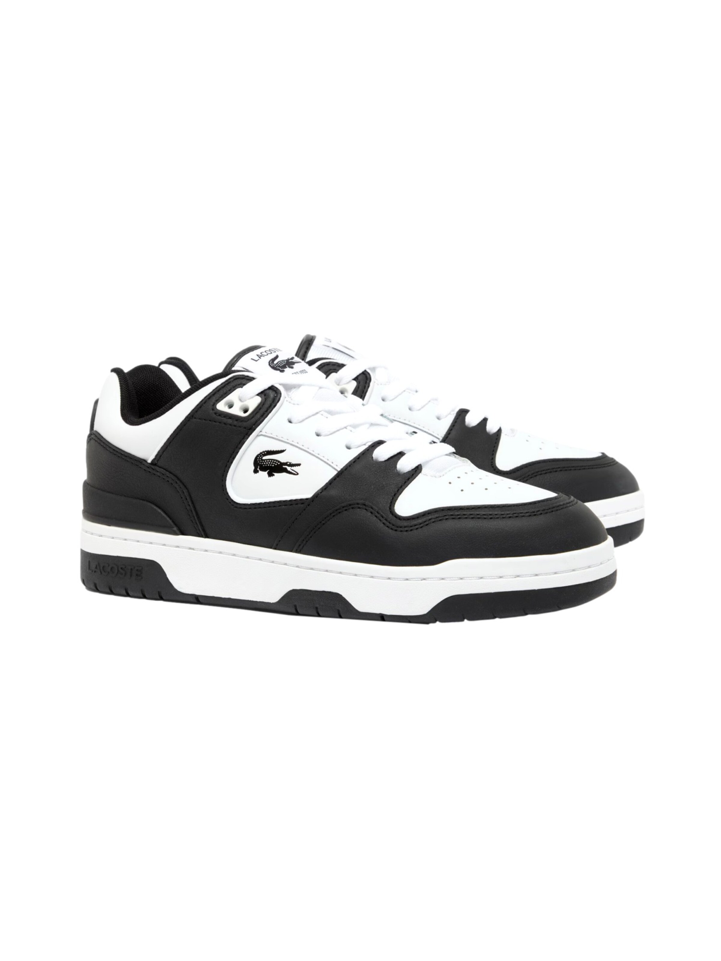 LACOSTE Sneakers laag 'Courtcage Set' in Zwart