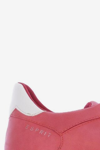 ESPRIT Sneakers & Trainers in 40 in Red