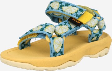 Sandales TEVA en mélange de couleurs : devant