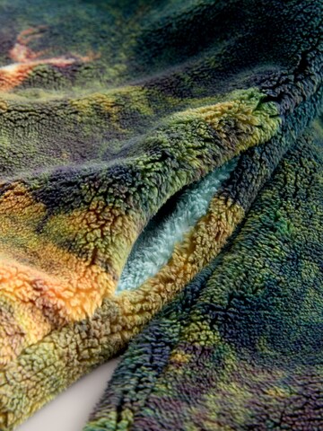 Next Pullover in Grün