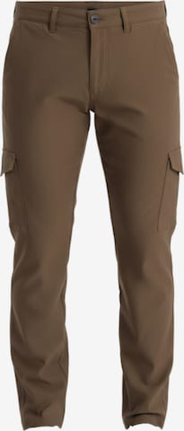 Regular Pantalon cargo Ombre en vert : devant