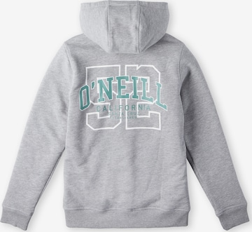 O'NEILL Sweatjacke in Grau