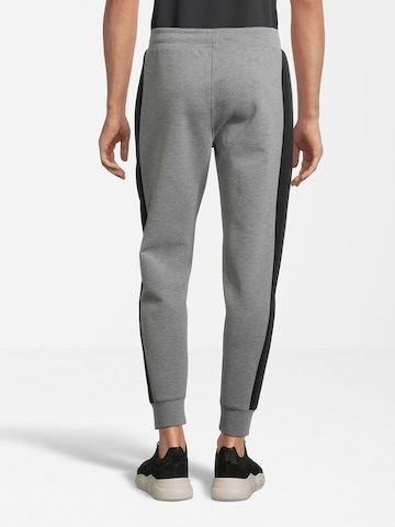 AÉROPOSTALE Tapered Trousers in Grey